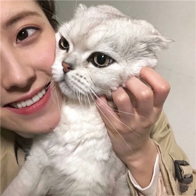 女生抱着猫猫爱心满满头像 你是最特别的那一个