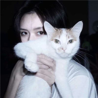 女生抱着猫猫爱心满满头像 你是最特别的那一个