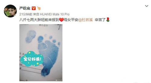 严屹宽老婆杜若溪帮女儿养鸡！小鸡生病还给挂了急诊