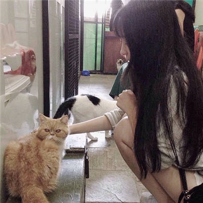 ͥ˵˵